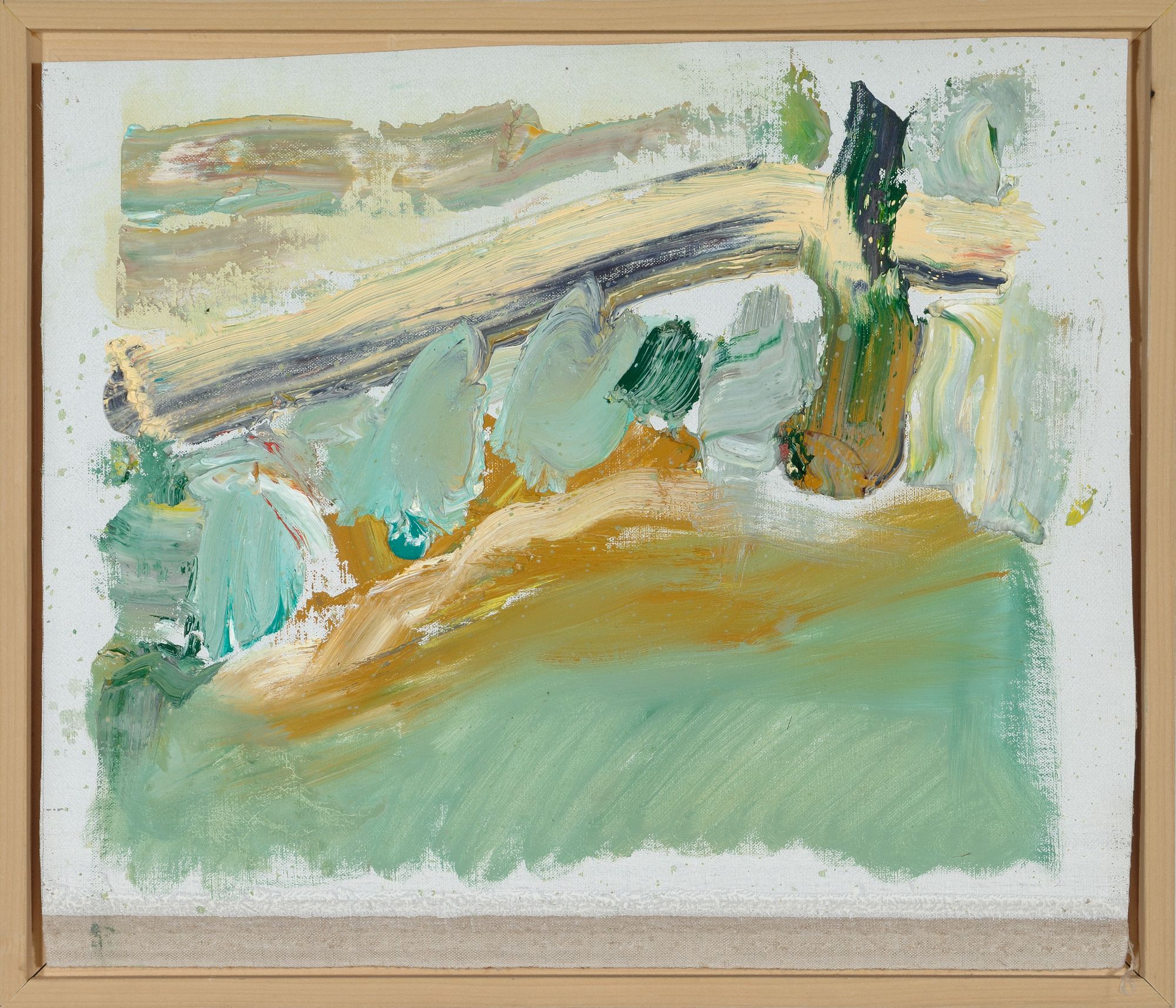 Olive Trees Bordering Field