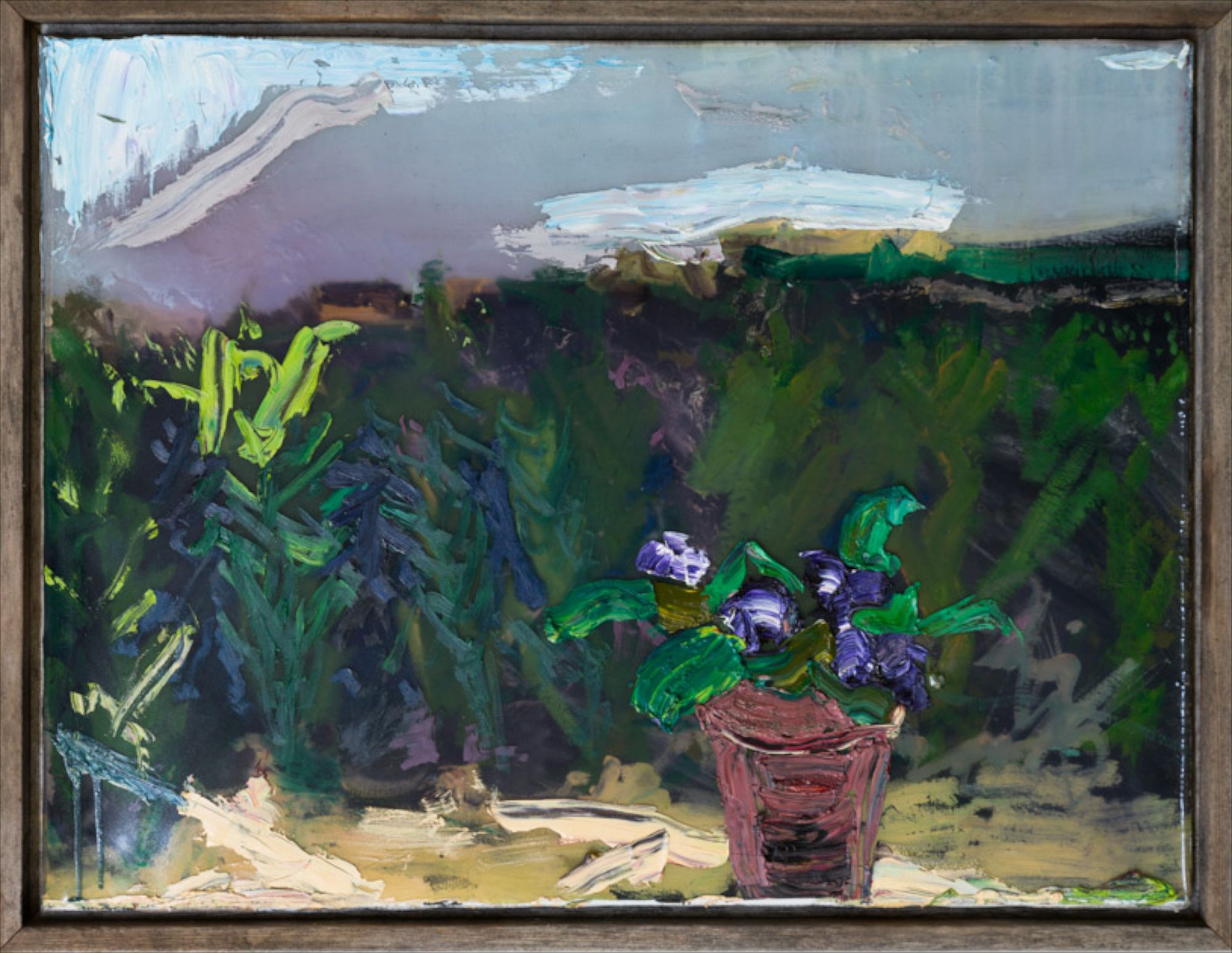 African Violets by Cornfield