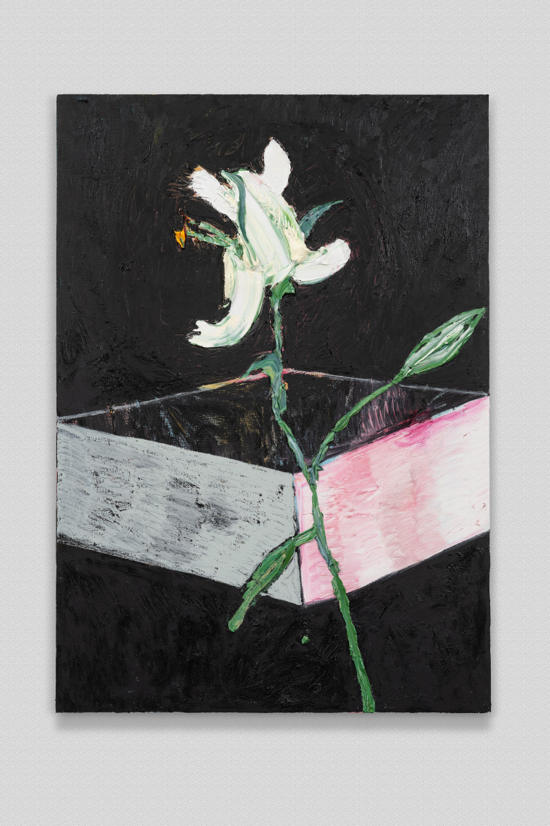 Flower On Open Box Abstraction