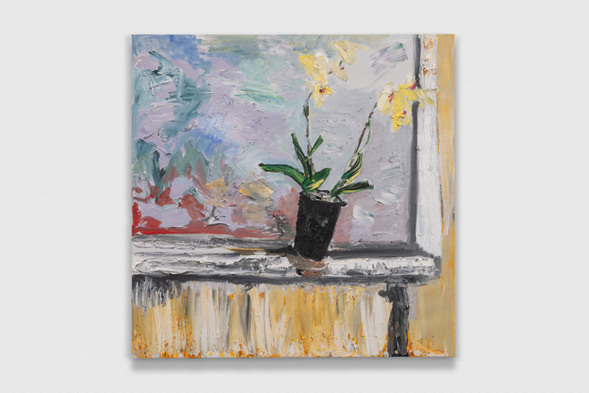 Spring Orchid, Window