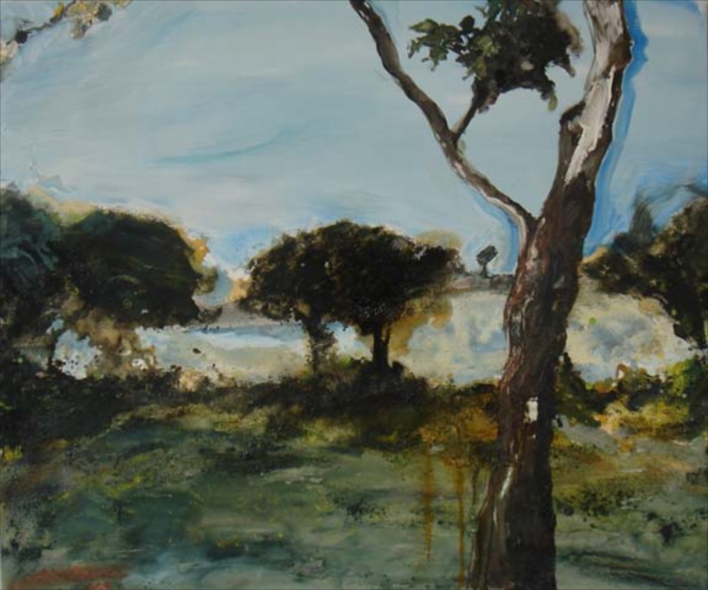 Untitled Landscape (foreground middleground background)