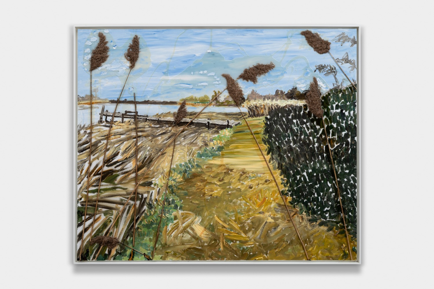 Sag Dock With Phragmites