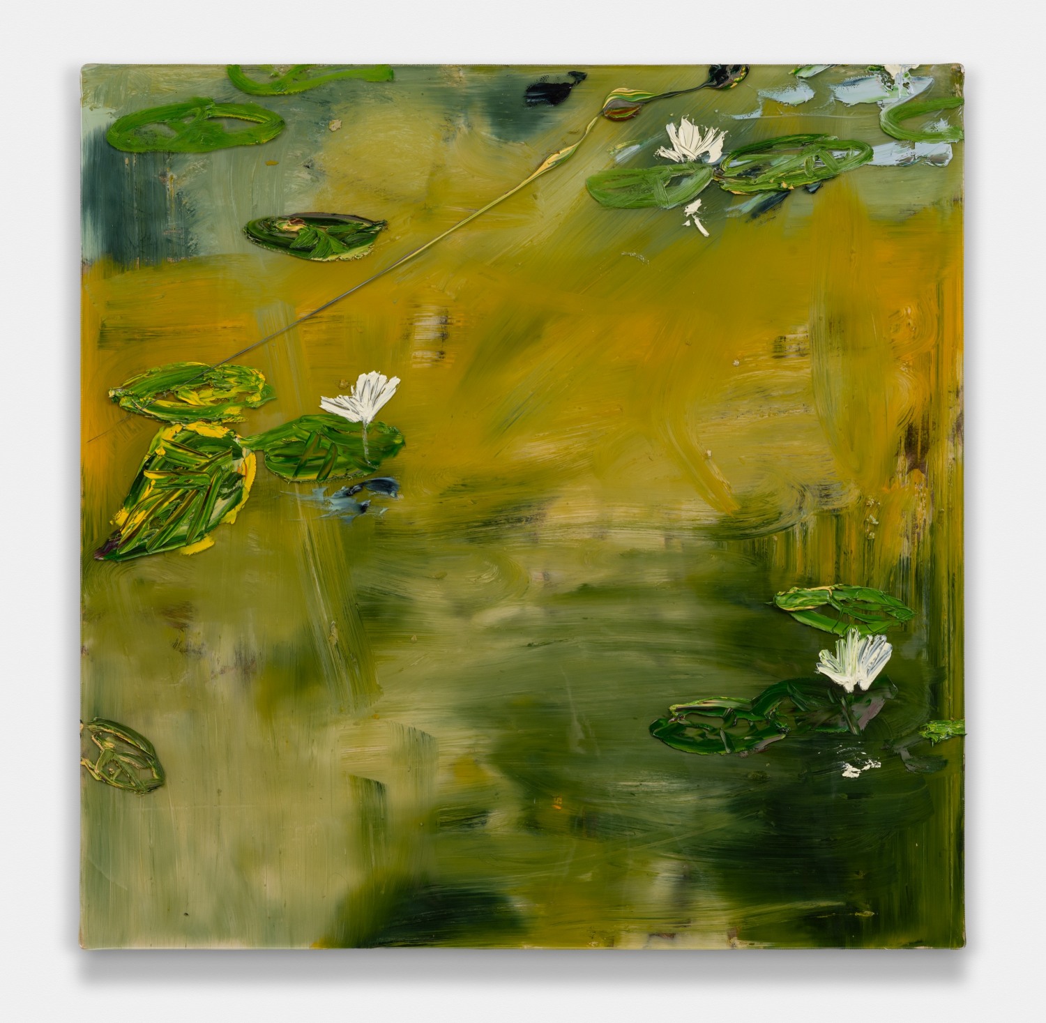 Edge Of Pond Lilies