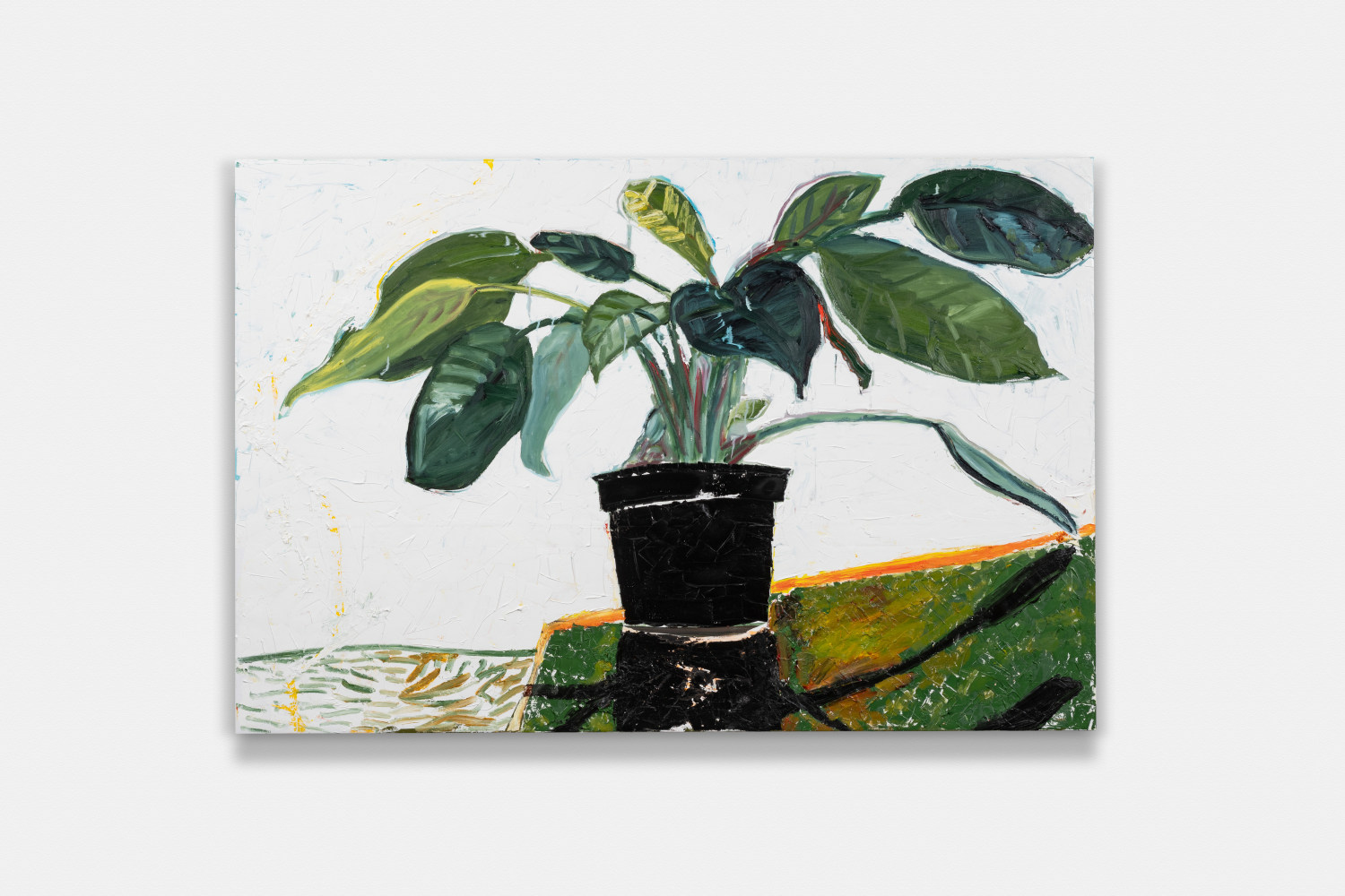 Large Plant On Table