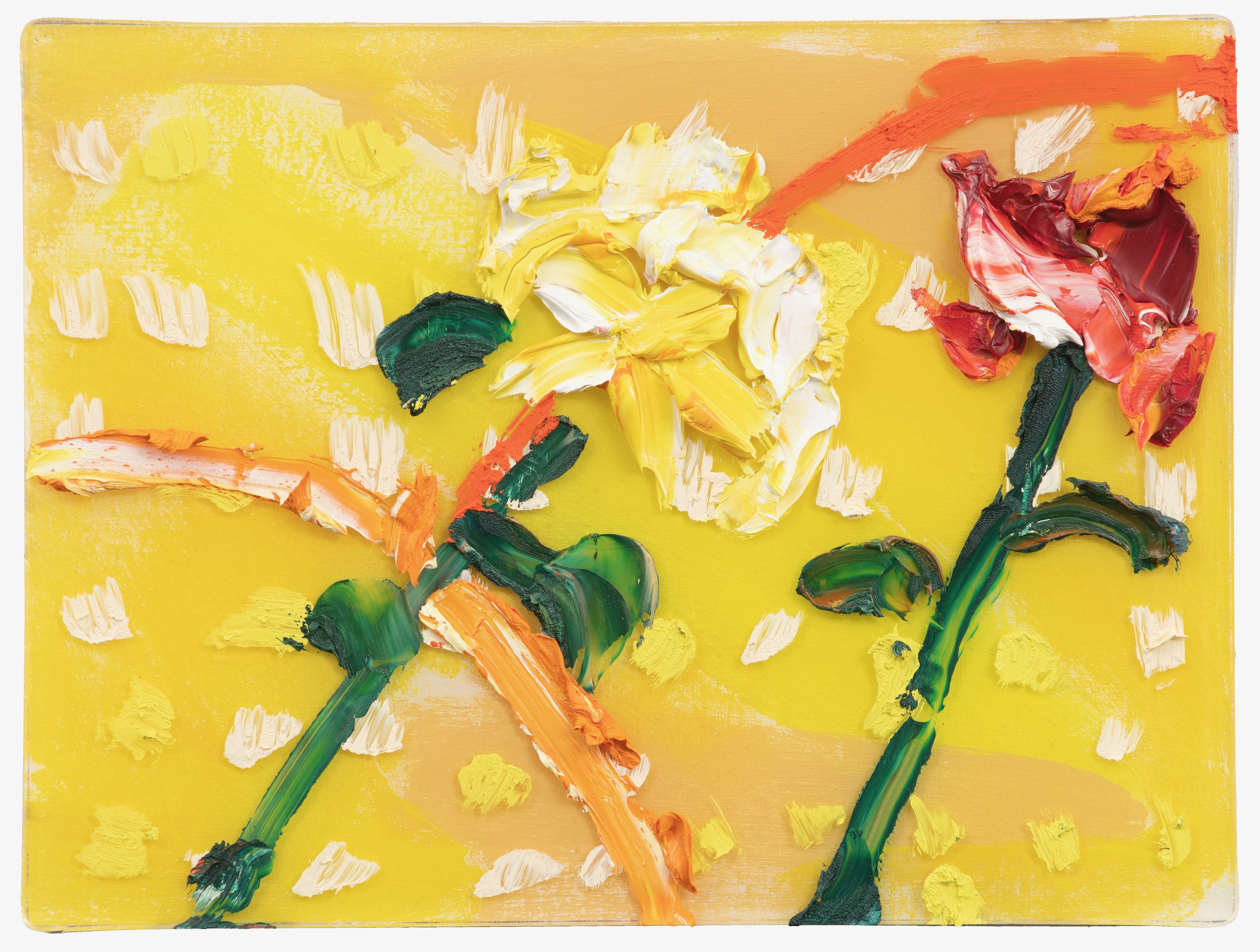 Yellow Flowers