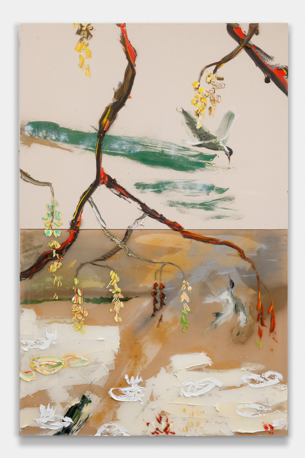 Reflections: Skimming Tern