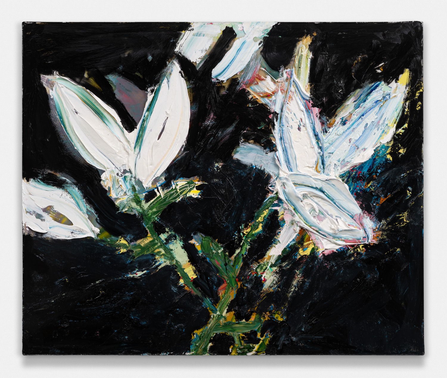 Large White Lilies On Black