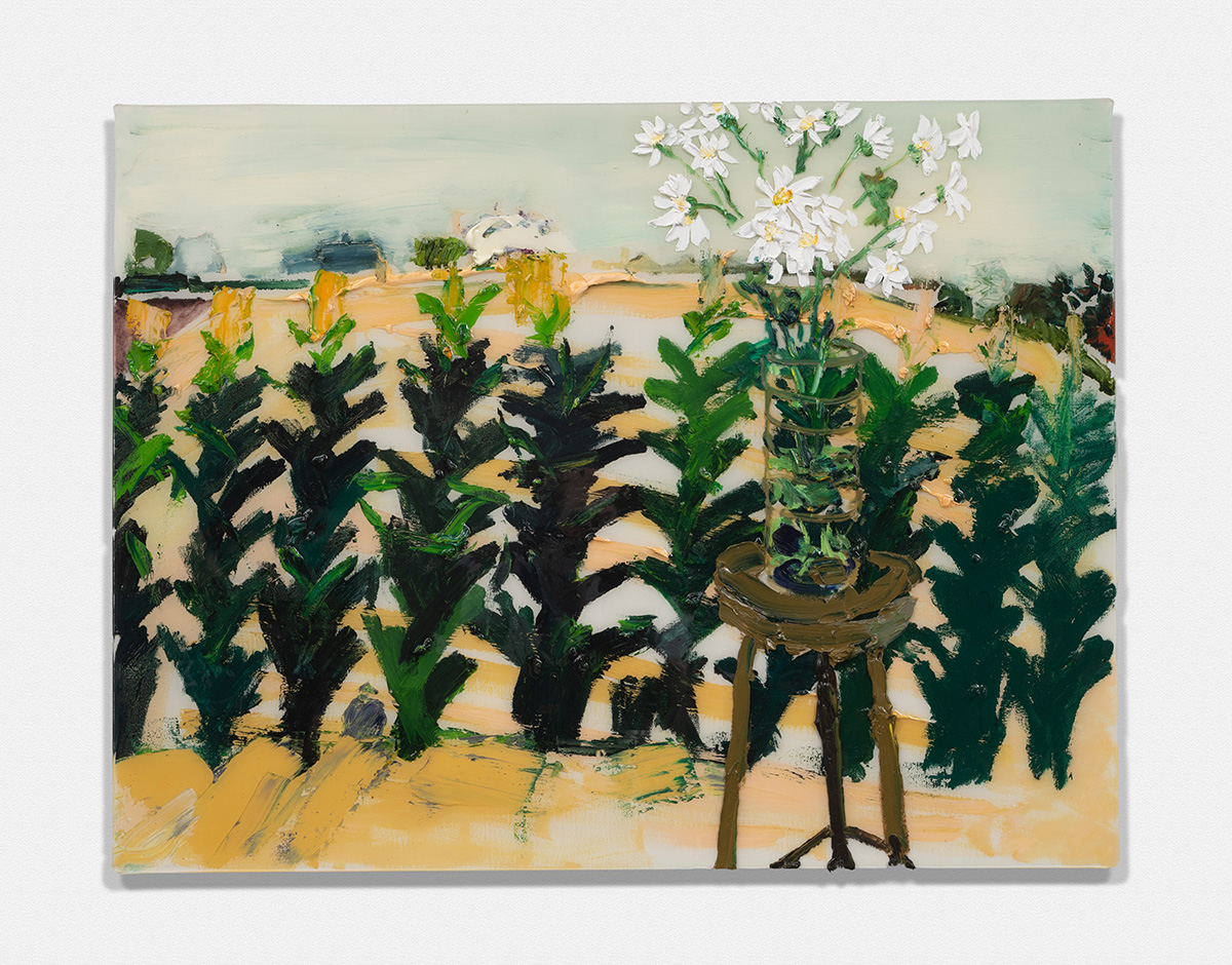 Montauk Daisies On Corn Field