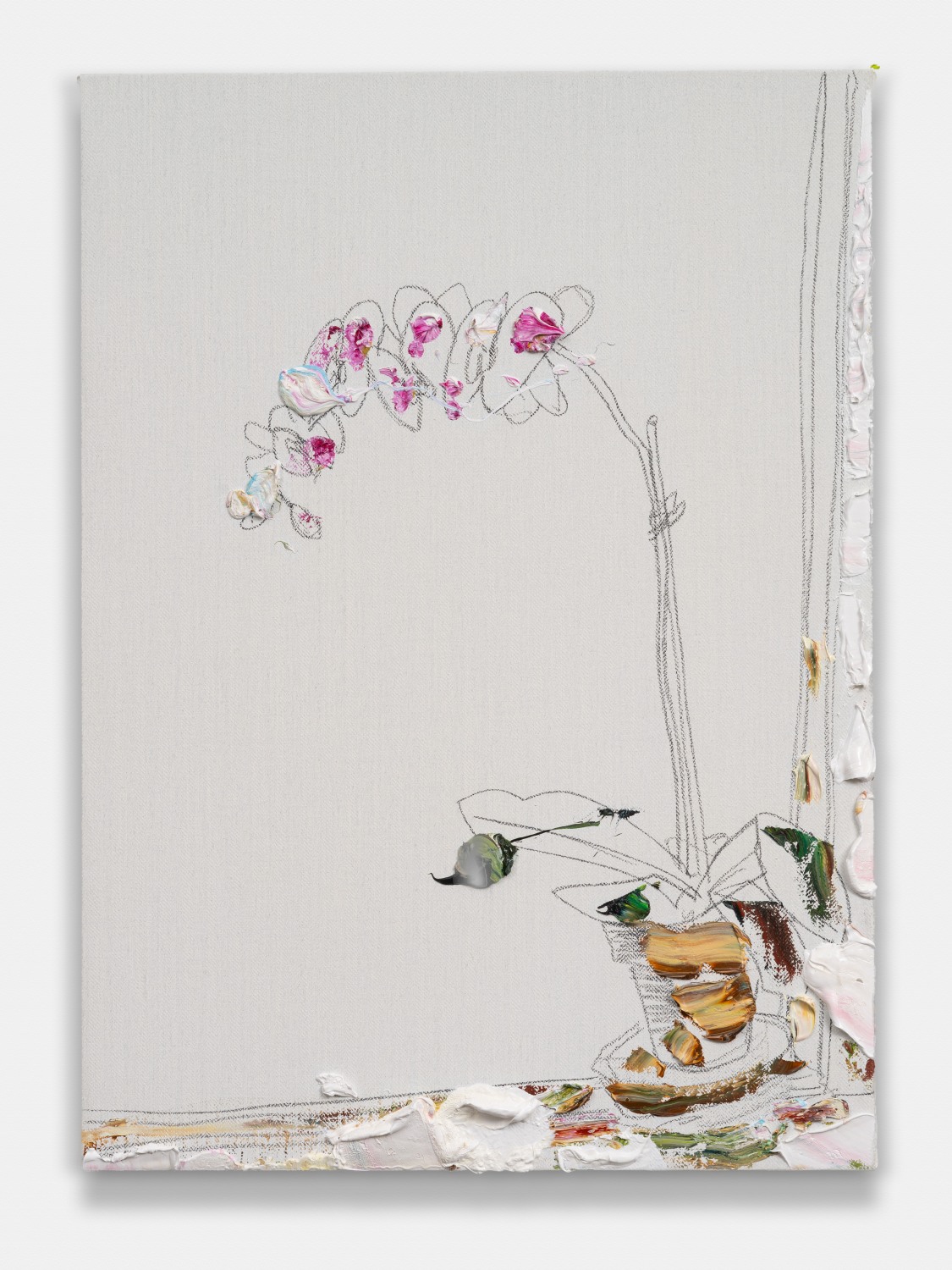 Orchid On Edge Of Window