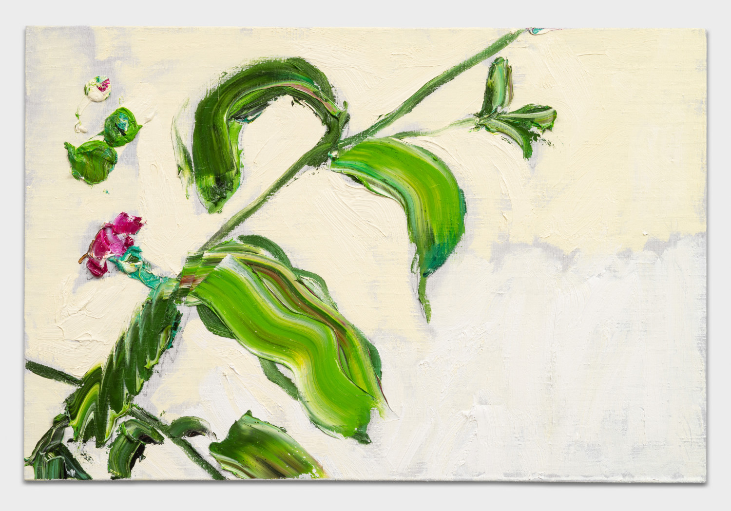 Wild Flower On Yellow