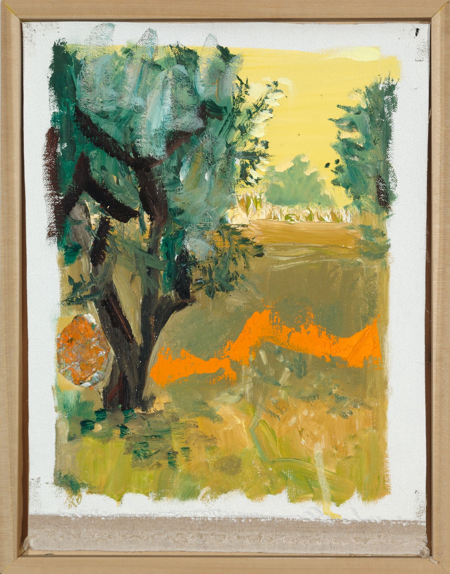 Olive Grove With Orange Light