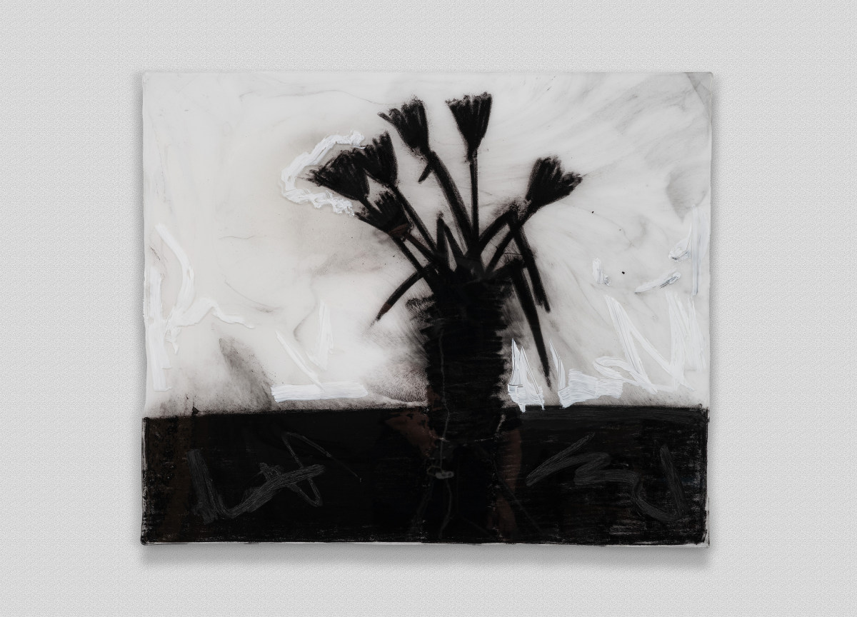 Black Tulips On Table