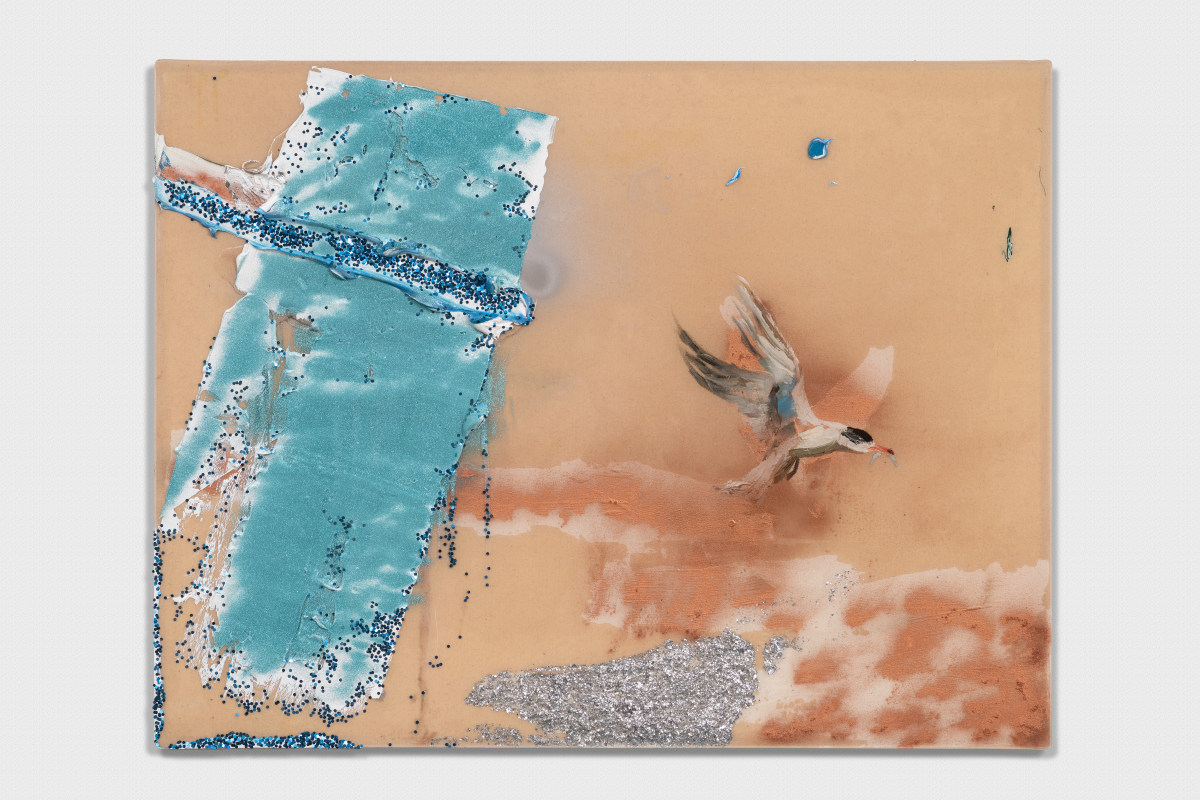 Tern With Silverfish