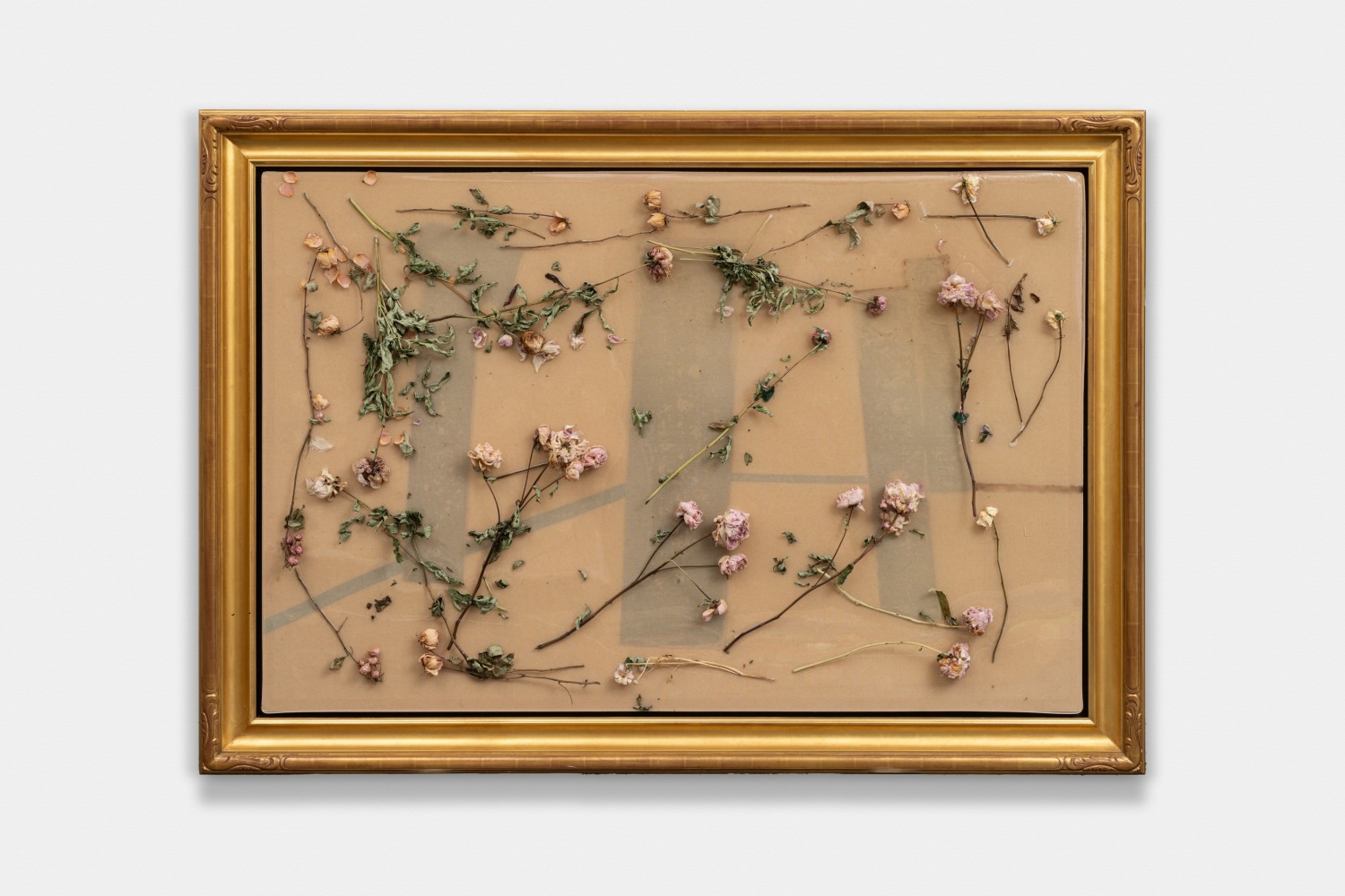 Her Peonies On Abstract