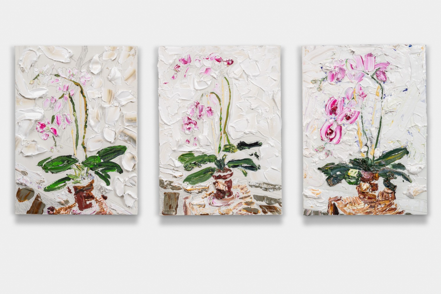 Orchid Triptych