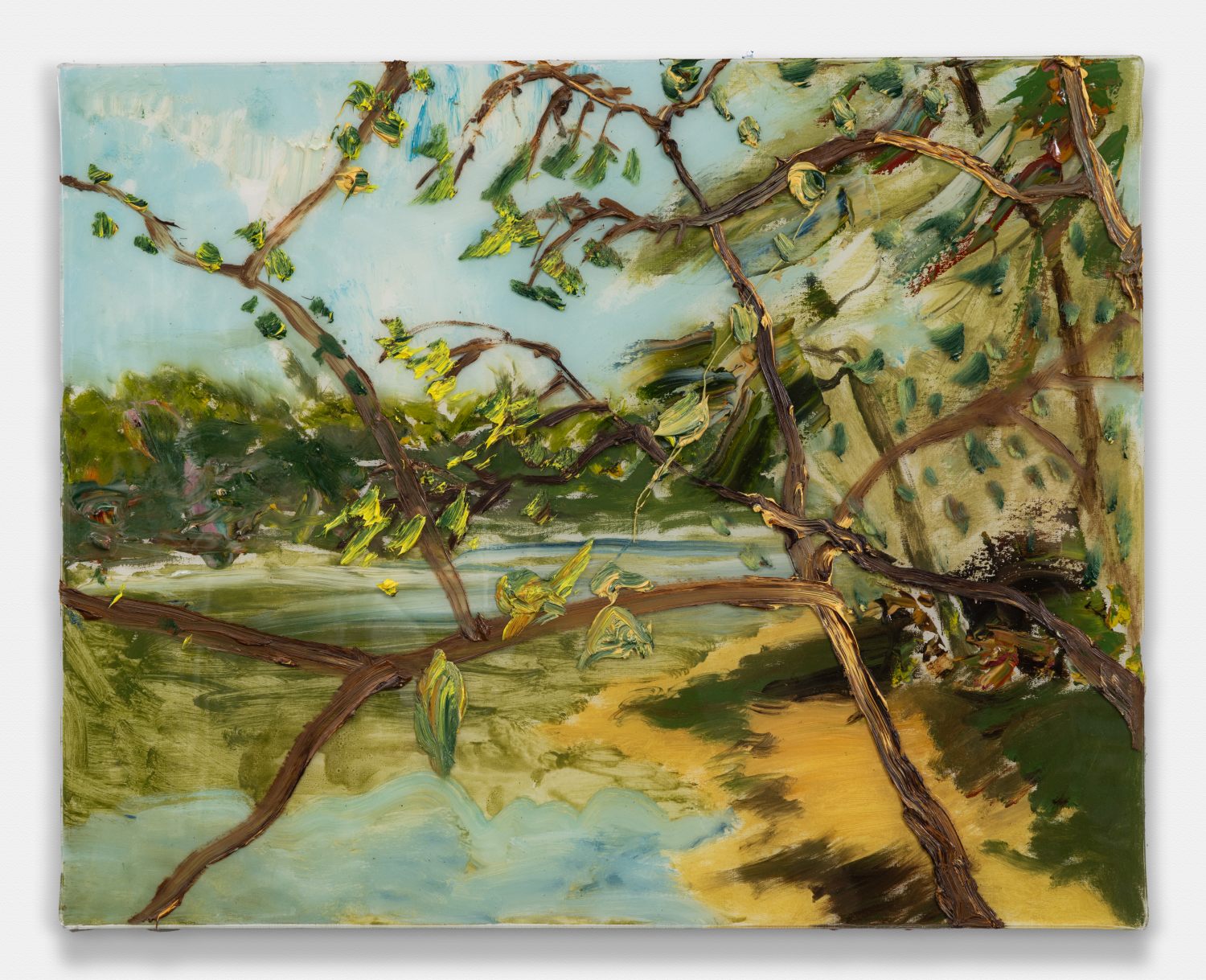 Edge Of Long Pond