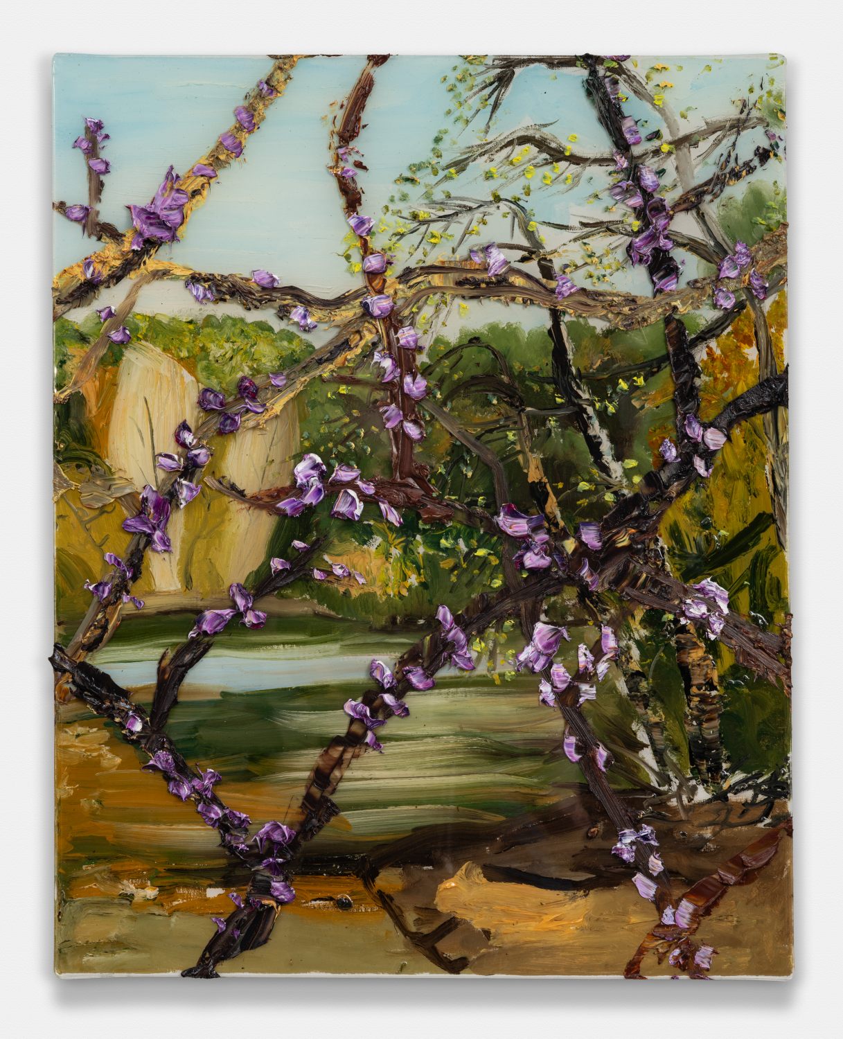 Redbud Long Pond