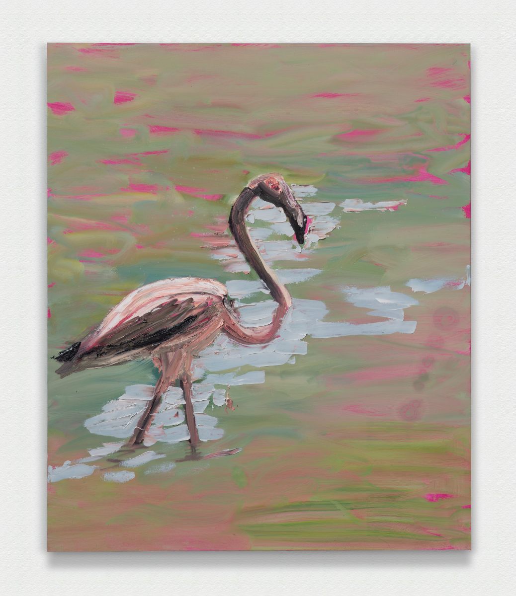 Summer Of The Flamingo
