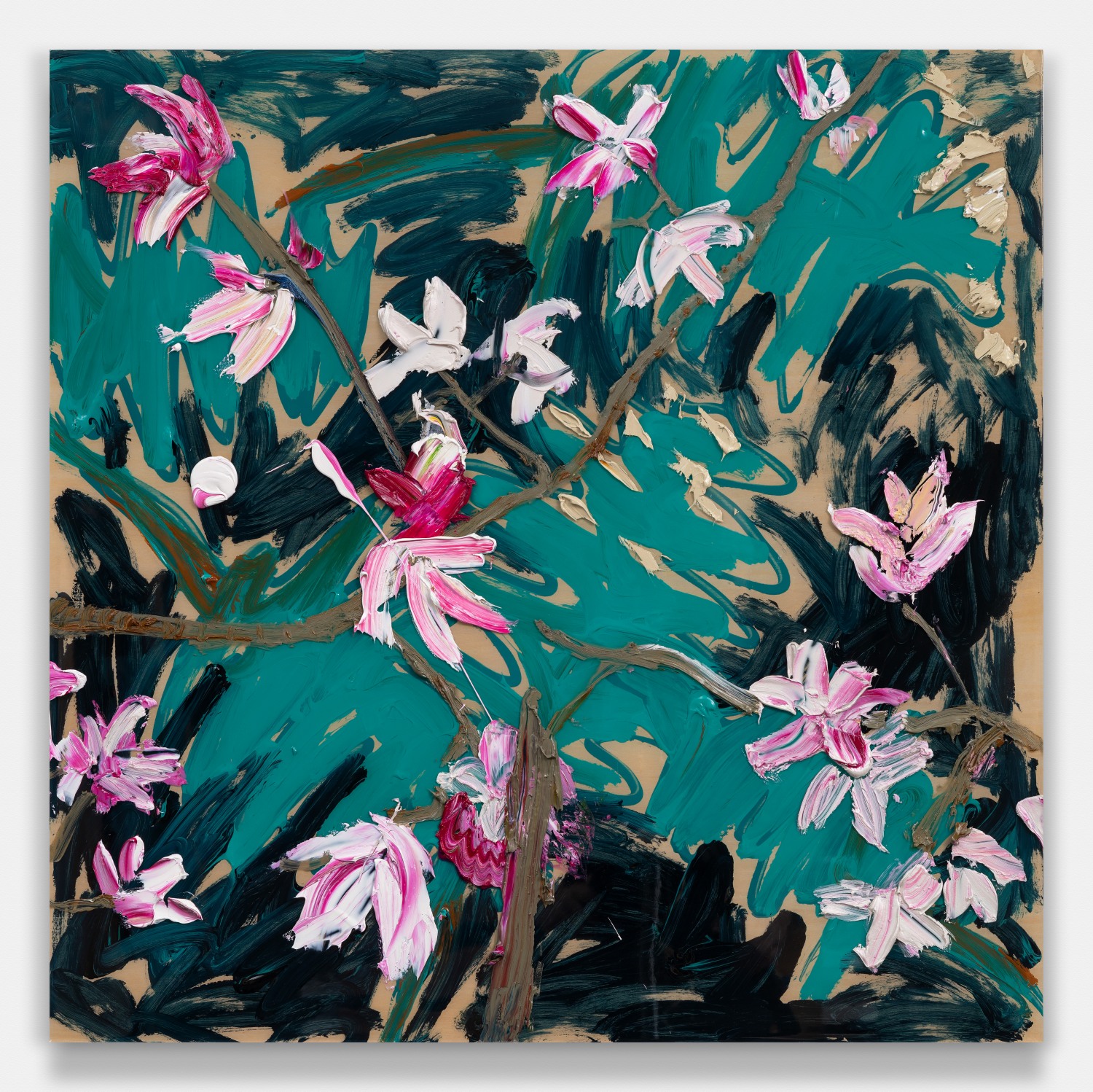Magnolia 1
